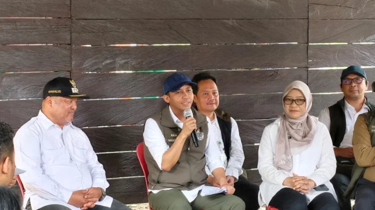 Karhutla Mengintai, Menhut Pastikan Habitat Orangutan di Berau Tetap Terjaga